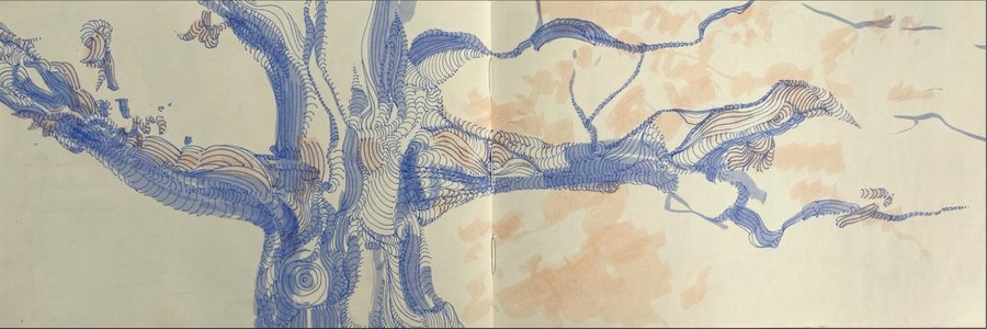 Tree Outside the Dining Hall